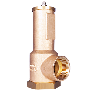 DN25 LGS HI-FLOW Relief Valve H3625A1C37