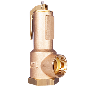 DN25 LGS HI-FLOW Relief Valve H3625A3C36