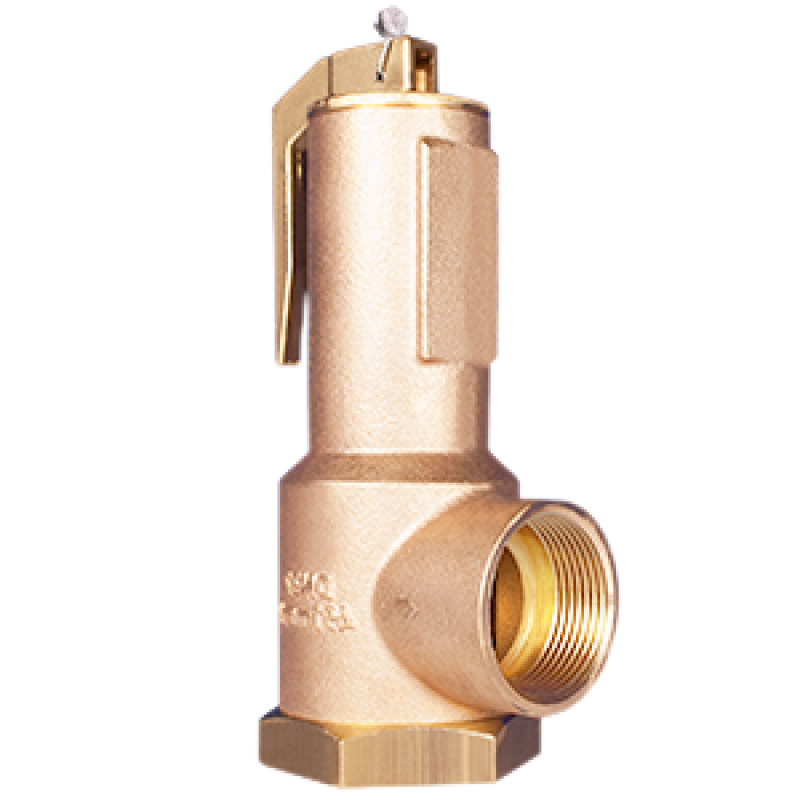 DN25 LGS HI-FLOW Relief Valve H3625A3C36