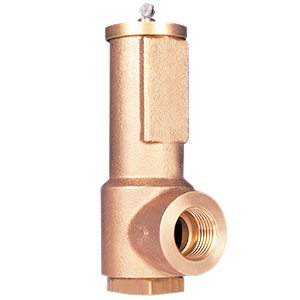 DN15 LGS Relief Valve L3615A1276