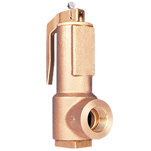 DN15 LGS Relief Valve L3615A3276